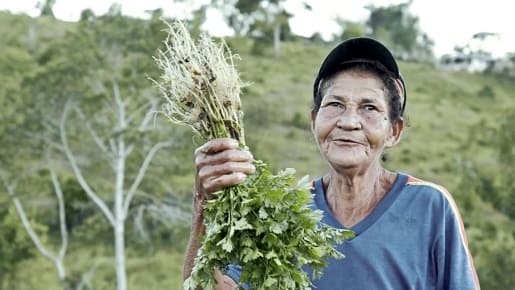 Una señora sostiene un manojo de plantas con las raíces hacia arriba. Lleva una gorra y una camiseta azul y tiene la piel oscura, aparentando cierta edad. Al fondo, el campo se extiende hasta el horizonte.